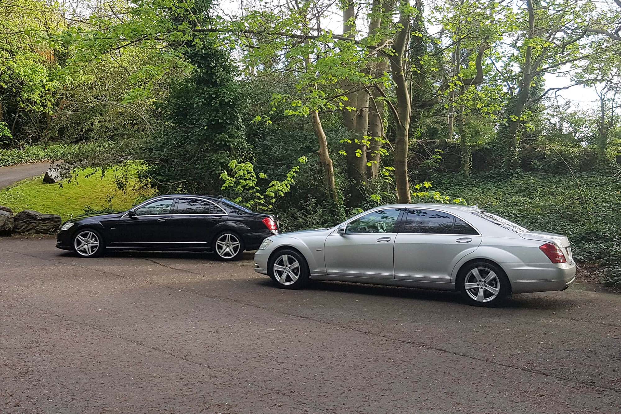 2 Mercedes parked in the park